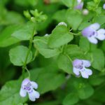 article image - 